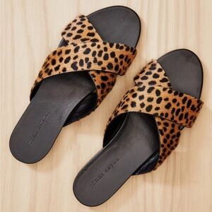 Jenni Kayne Cross Strap Sandal